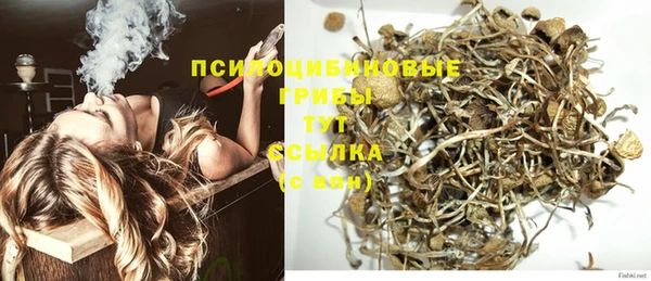 стаф Балабаново