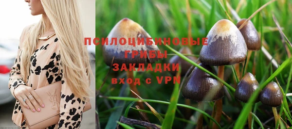 стаф Балабаново
